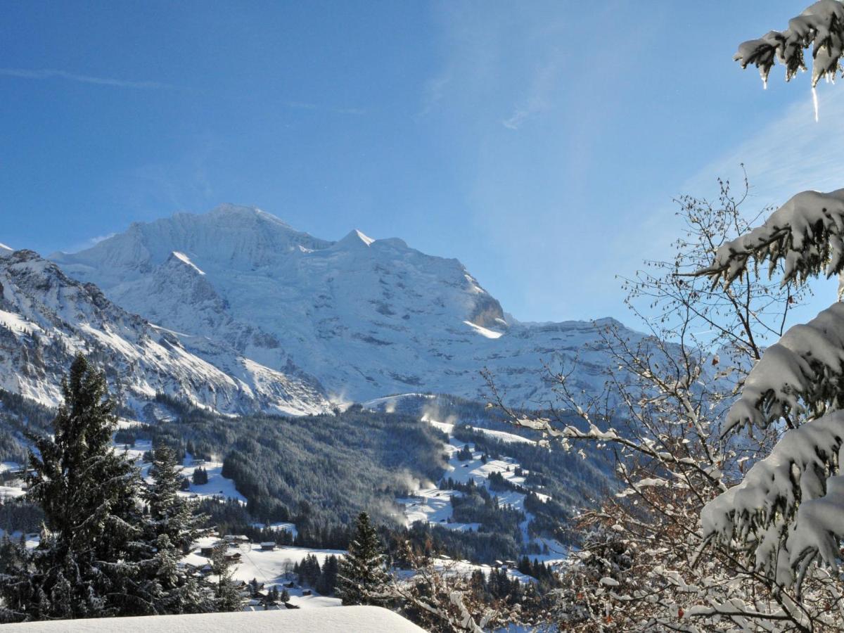 Apartment Helene Apt-Diana By Interhome Wengen Exteriör bild